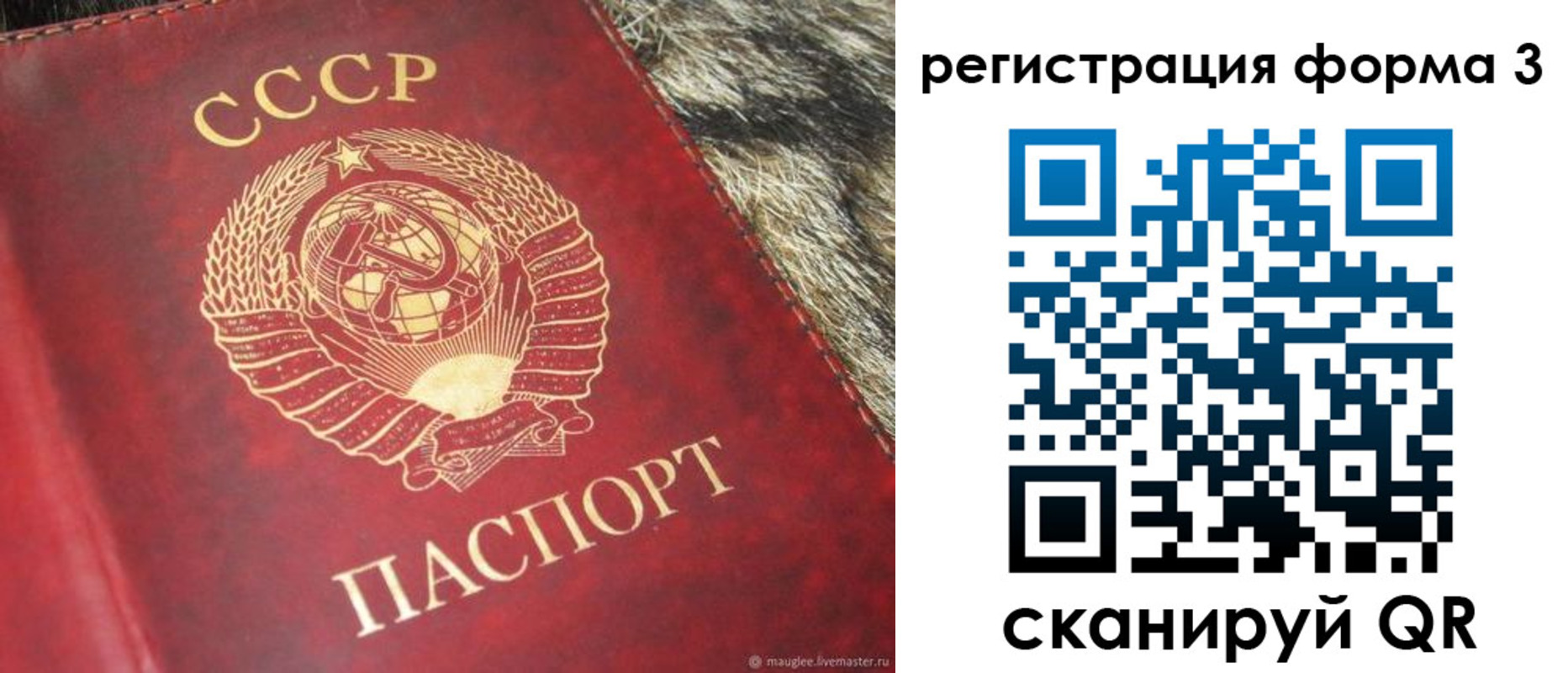 найти адрес прописки в Волжском